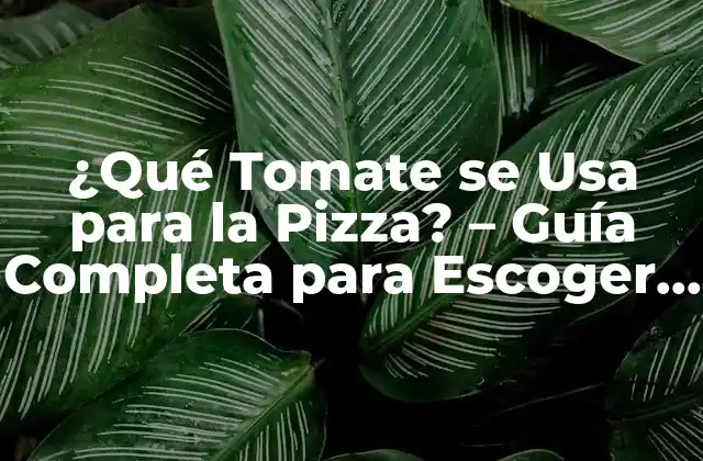 ¿qué Tomate Se Usa para la Pizza? – Guía Completa para Escoger el Mejor
