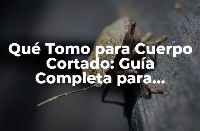 Qué Tomo para Cuerpo Cortado: Guía Completa para Aumentar Masa Muscular