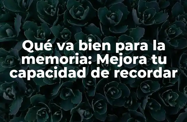 Qué Va Bien para la Memoria: Mejora Tu Capacidad de Recordar