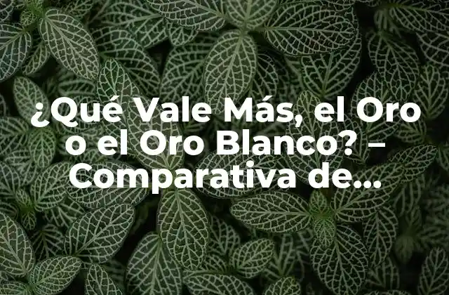 ¿qué Vale Más, el Oro o el Oro Blanco? – Comparativa de Valores