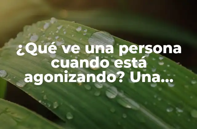 ¿qué Ve una Persona Cuando Está Agonizando? una Exploración de la Experiencia de la Muerte