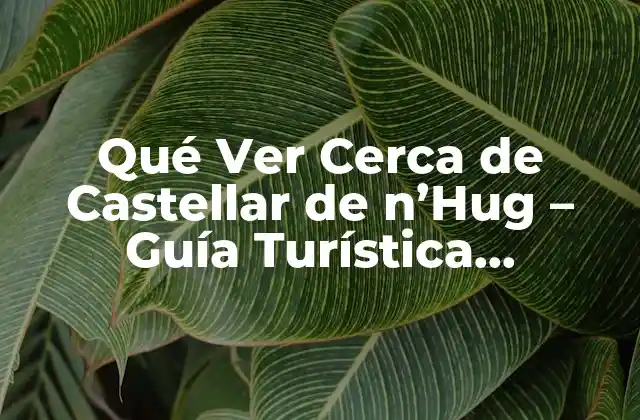 Qué Ver Cerca de Castellar de N’hug – Guía Turística Completa