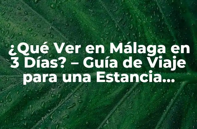 ¿qué Ver en Málaga en 3 Días? – Guía de Viaje para una Estancia Perfecta