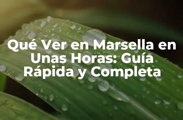 Qué Ver en Marsella en unas Horas: Guía Rápida y Completa