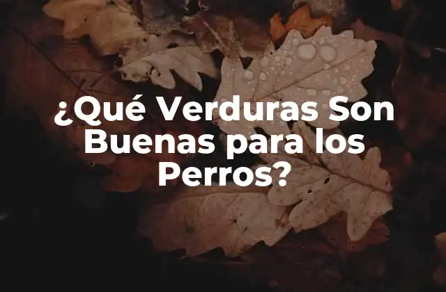 ¿Por qué las Verduras Son Importantes para los Perros?