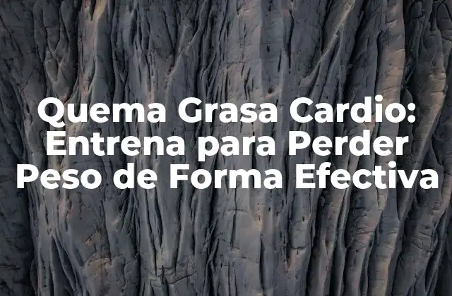 Quema Grasa Cardio: Entrena para Perder Peso de Forma Efectiva 2 ¿Qué es la Quema de Grasa Cardio?