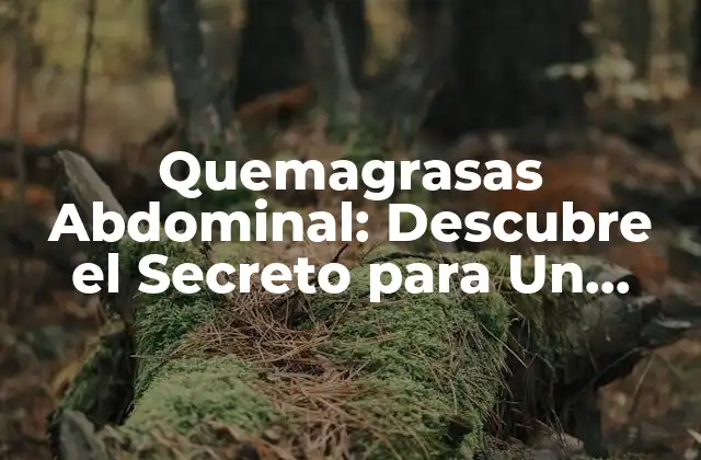Quemagrasas Abdominal: Descubre el Secreto para un Abdomen Plano y Firme