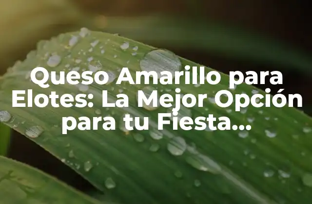 Queso Amarillo para Elotes: la Mejor Opción para Tu Fiesta Mexicana