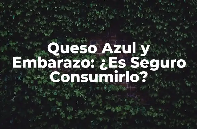 Queso Azul y Embarazo: ¿es Seguro Consumirlo? 2 ¿Qué es el Queso Azul?