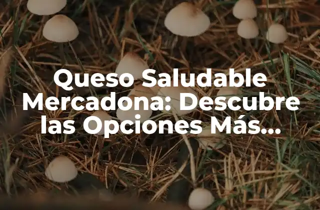 Queso Saludable Mercadona: Descubre las Opciones Más Sanas