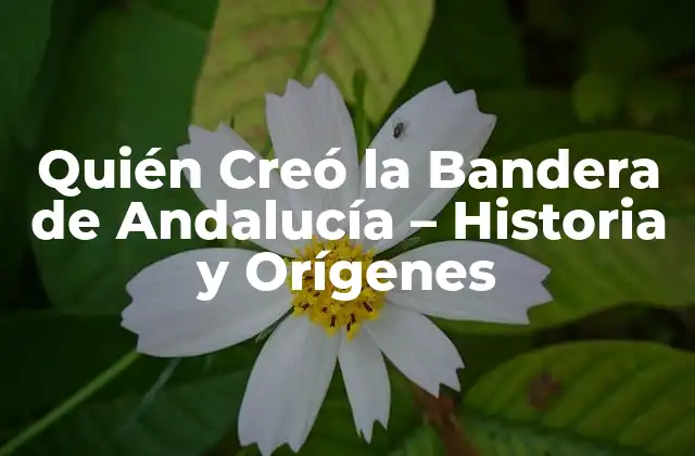Quién Creó la Bandera de Andalucía – Historia y Orígenes