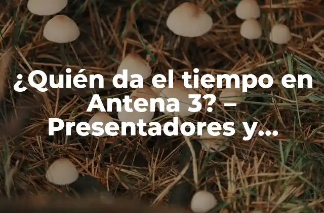 ¿quién Da el Tiempo en Antena 3? – Presentadores y Equipo de Meteorología
