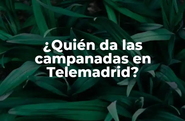 ¿quién Da las Campanadas en Telemadrid?