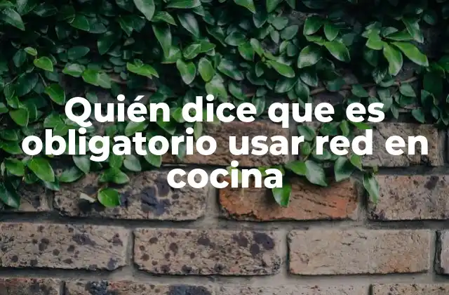 Quién Dice que es Obligatorio Usar Red en Cocina