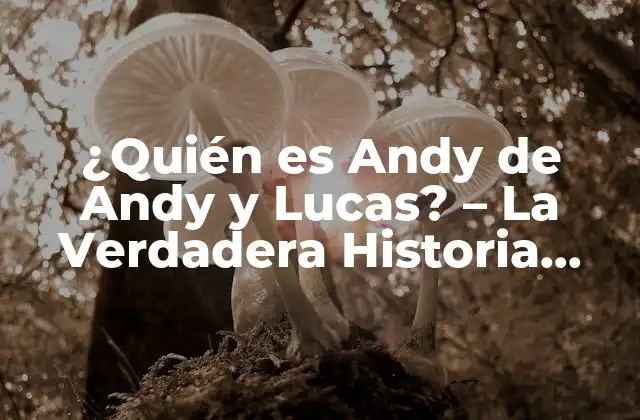 ¿quién es Andy de Andy y Lucas? – la Verdadera Historia Detrás Del Personaje