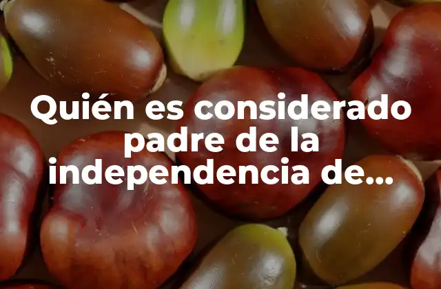Quién es Considerado Padre de la Independencia de México