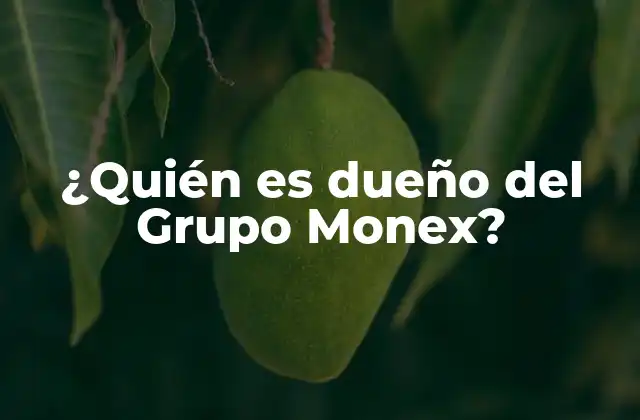La evolución histórica del Grupo Monex