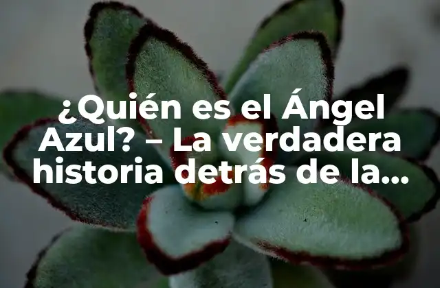 ¿quién es el Ángel Azul? – la Verdadera Historia Detrás de la Leyenda