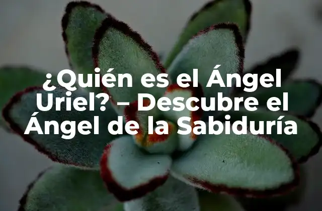 ¿quién es el Ángel Uriel? – Descubre el Ángel de la Sabiduría