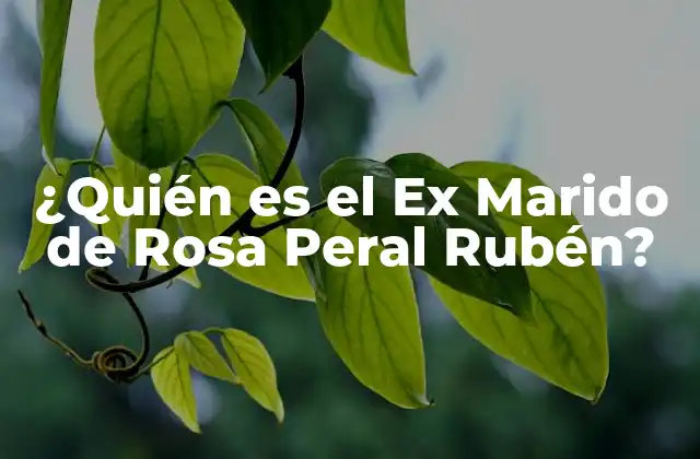 ¿quién es el Ex Marido de Rosa Peral Rubén?