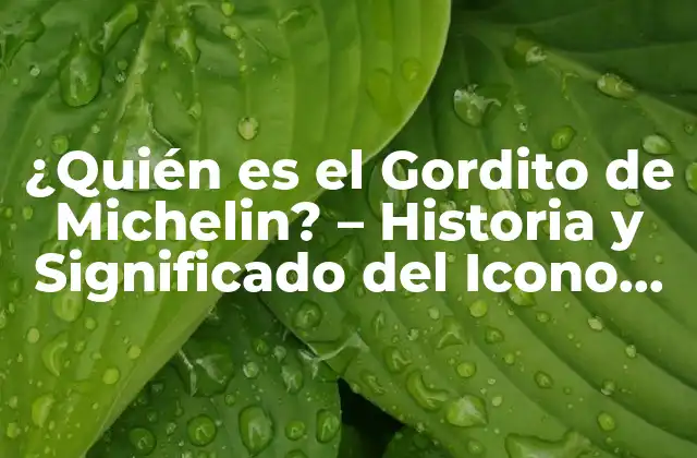 ¿quién es el Gordito de Michelin? – Historia y Significado Del Icono Culinary
