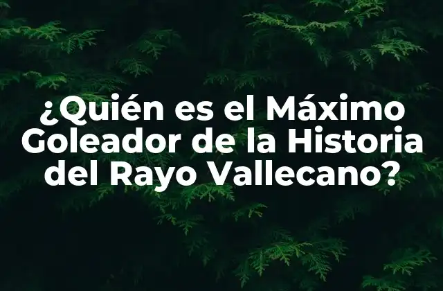 ¿quién es el Máximo Goleador de la Historia Del Rayo Vallecano?