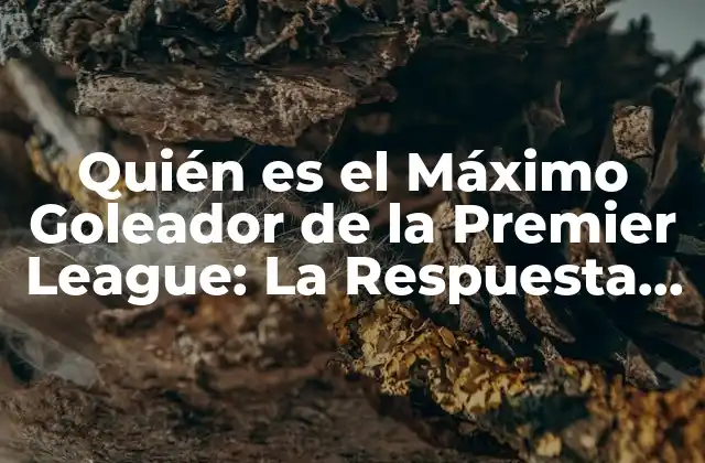Quién es el Máximo Goleador de la Premier League: la Respuesta Definitiva