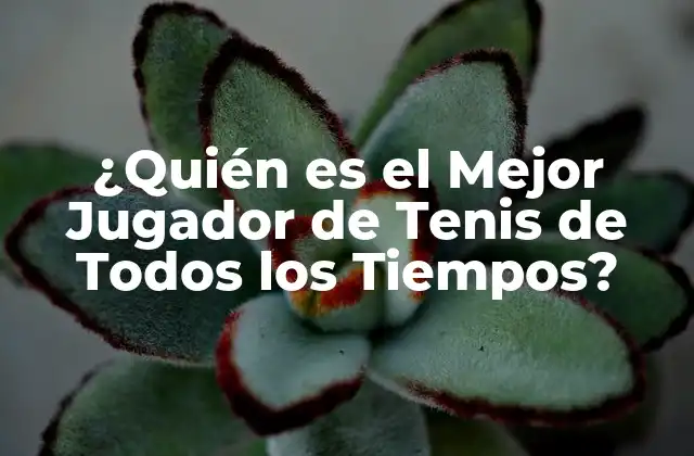 ¿quién es el Mejor Jugador de Tenis de Todos los Tiempos?
