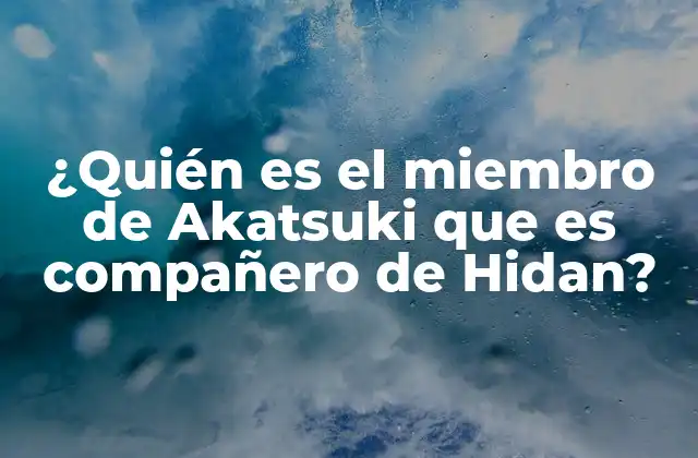 ¿quién es el Miembro de Akatsuki que es Compañero de Hidan?