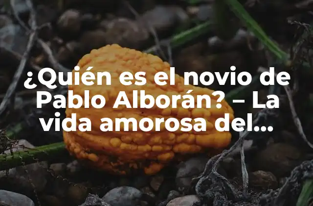 ¿quién es el Novio de Pablo Alborán? – la Vida Amorosa Del Cantante Español