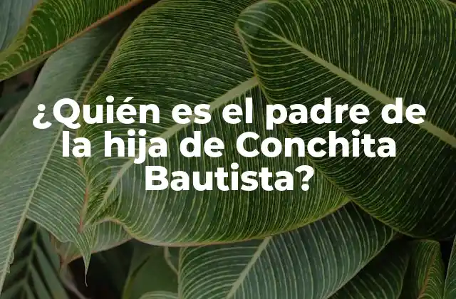 ¿quién es el Padre de la Hija de Conchita Bautista?