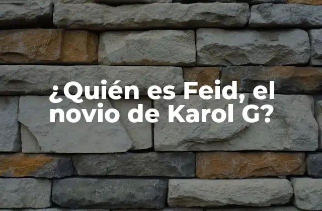 ¿quién es Feid, el Novio de Karol G? 2 Orígenes y Carrera Musical de Feid
