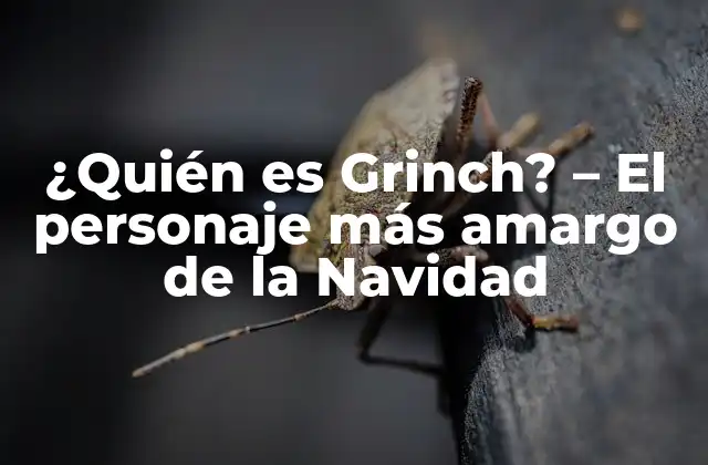 ¿quién es Grinch? – el Personaje Más Amargo de la Navidad