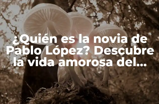 ¿quién es la Novia de Pablo López? Descubre la Vida Amorosa Del Famoso Beisbolista
