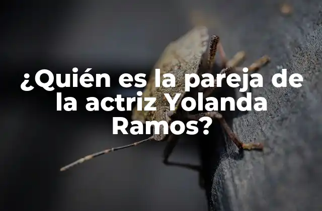 ¿quién es la Pareja de la Actriz Yolanda Ramos?
