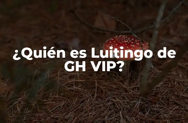 ¿quién es Luitingo de Gh Vip?