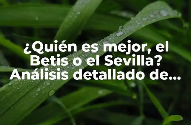 ¿quién es Mejor, el Betis o el Sevilla? Análisis Detallado de los Dos Equipos Andaluces