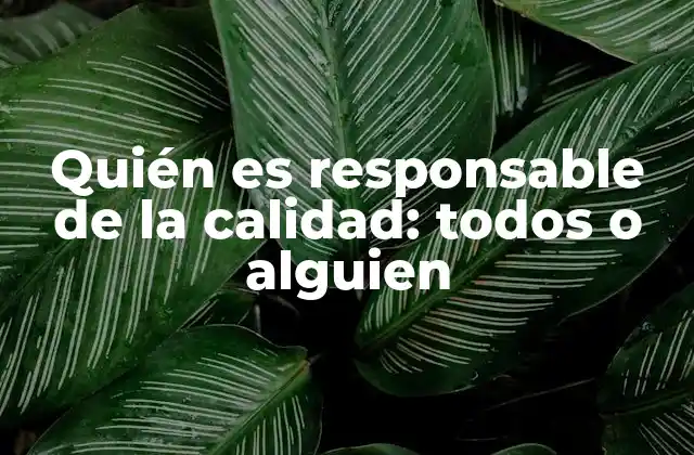 Quién es Responsable de la Calidad: Todos o Alguien