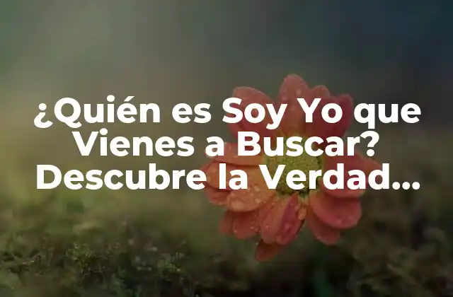 ¿quién es Soy Yo que Vienes a Buscar? Descubre la Verdad sobre Esta Enigmática Figura