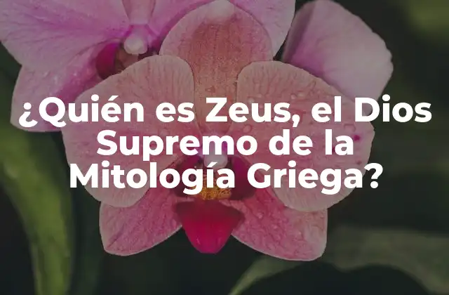 ¿quién es Zeus, el Dios Supremo de la Mitología Griega?