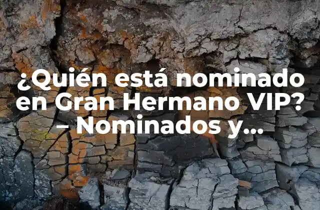 ¿quién Está Nominado en Gran Hermano Vip? – Nominados y Expulsados