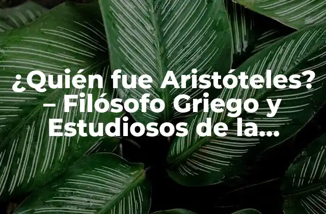 ¿quién Fue Aristóteles? – Filósofo Griego y Estudiosos de la Naturaleza