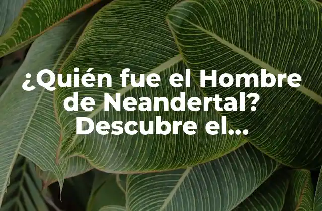 ¿quién Fue el Hombre de Neandertal? Descubre el Significado y la Historia de los Neandertales