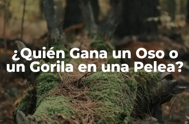 ¿quién Gana un Oso o un Gorila en una Pelea?