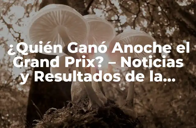 ¿quién Ganó Anoche el Grand Prix? – Noticias y Resultados de la Fórmula 1