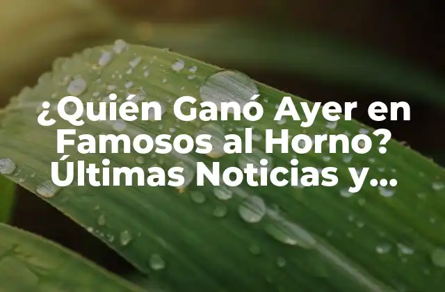 ¿quién Ganó Ayer en Famosos Al Horno? Últimas Noticias y Resultados
