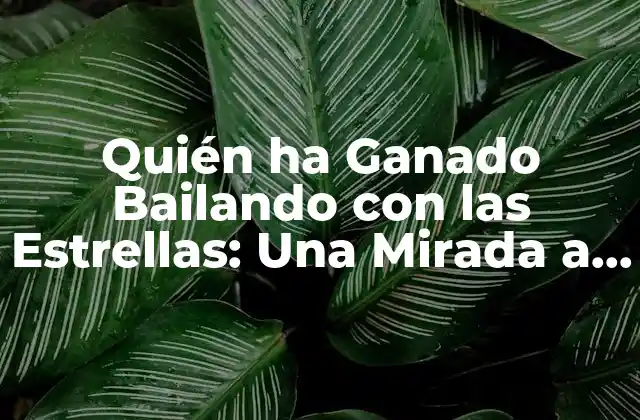Quién Ha Ganado Bailando con las Estrellas: una Mirada a la Historia Del Programa de Baile