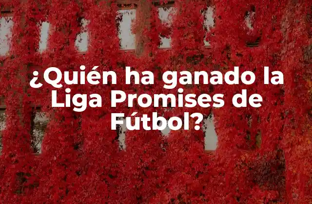 ¿quién Ha Ganado la Liga Promises de Fútbol?