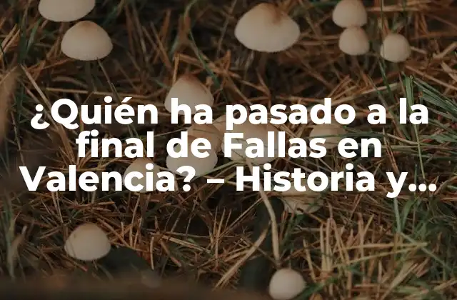 ¿quién Ha Pasado a la Final de Fallas en Valencia? – Historia y Ganadores