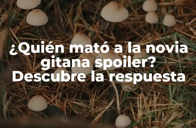 ¿quién Mató a la Novia Gitana Spoiler? Descubre la Respuesta